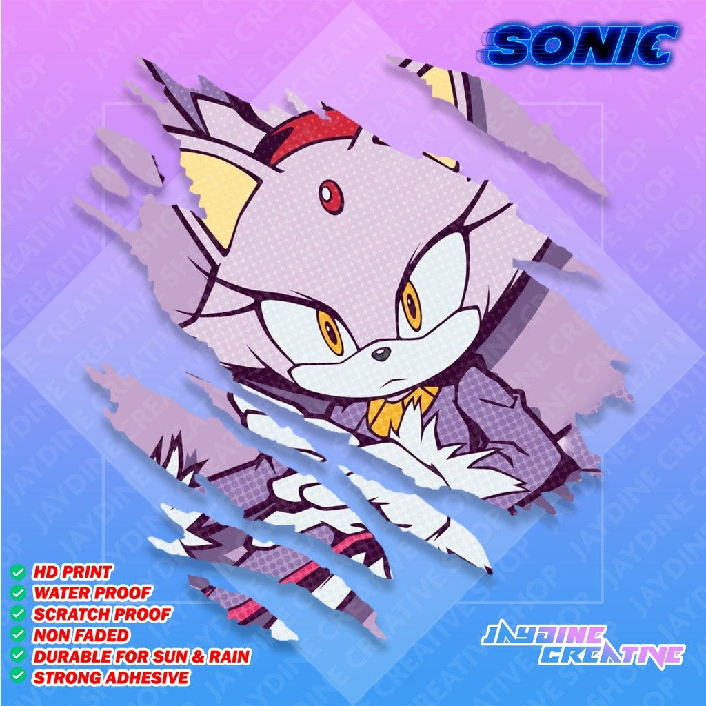 Sonic Scratch Design Sticker, Indoor Outdoor Vinyl Sticker, Waterproof & Non-Faded